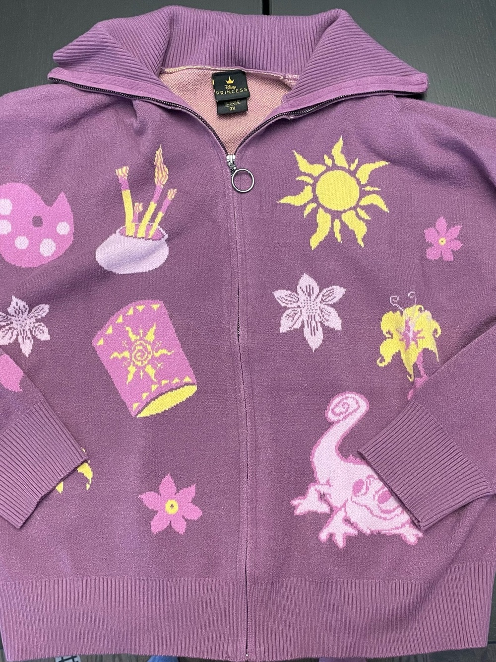Disney Princess Rapunzel zip up sweater